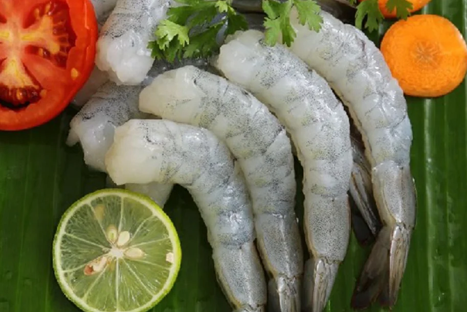 Sustainable seafood practices